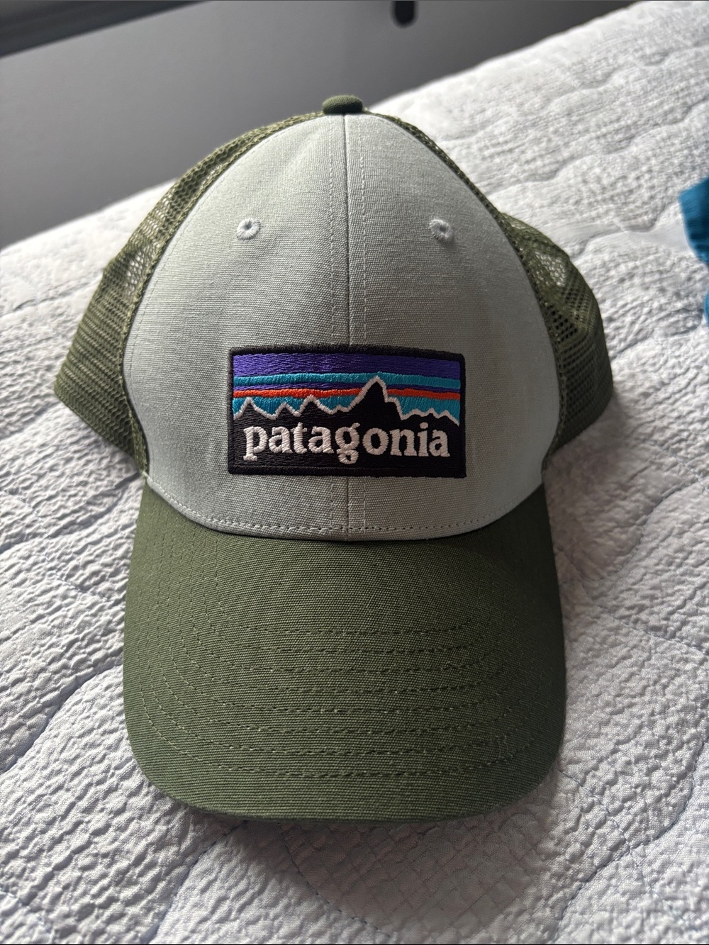 Patagonia Olive Green hat